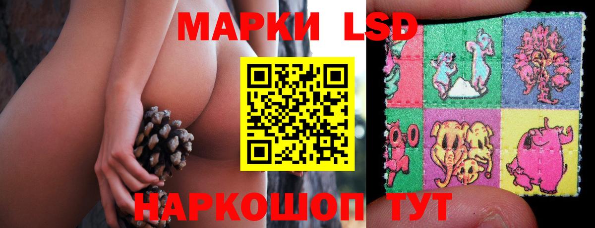 blacksprut ссылки  Вход с VPN  LSD-25 экстази ecstasy  Краснодар  ЛСД экстази кислота 