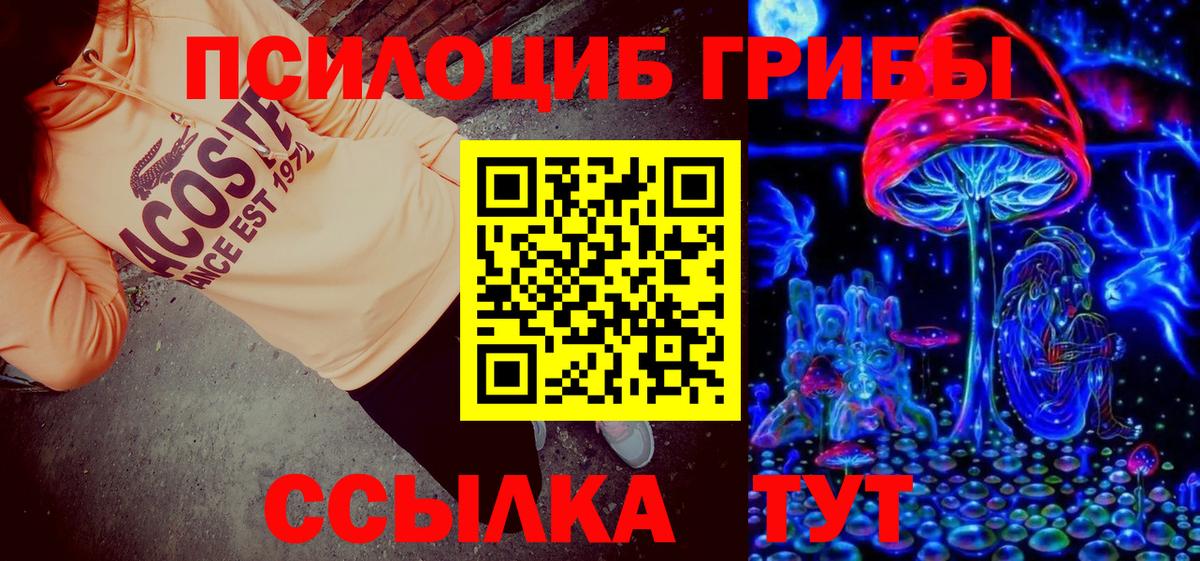 Галлюциногенные грибы Psilocybine cubensis  Вход с VPN  Краснодар 